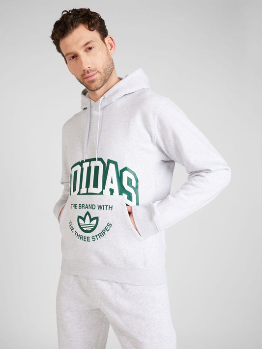 Adidas Men hoodies (IS2928_ Gray)