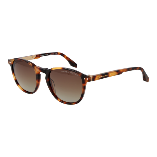 Range Rover Panto Sunglasses Brown (25004262) Men