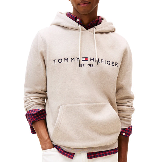 Tommy Hilfiger Logo Hoodie (MW0MW11599-H01) Men