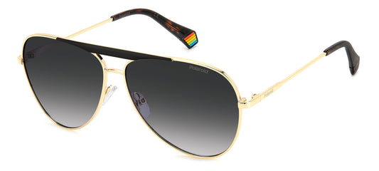 Polaroid Sunglasses (PLD6200SXRHLG) Unisex