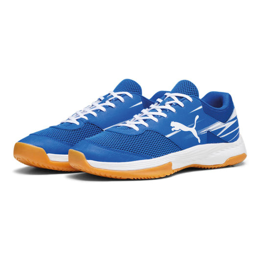 Puma Varion II Indoor shoes (107341-03) Men