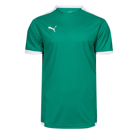 Puma Team LIGA m/c Pepper Green (704925-05) Kids