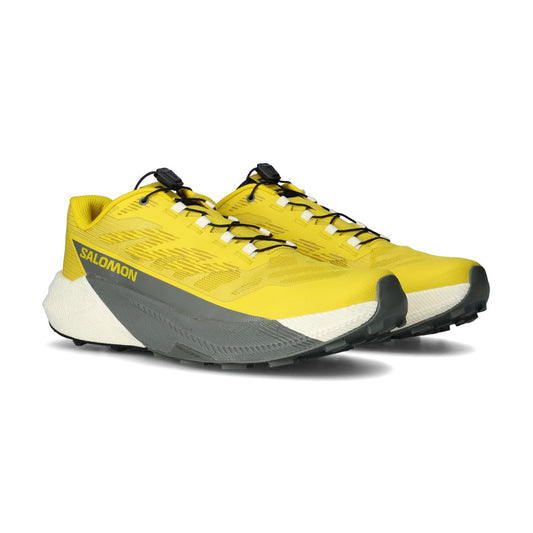 Salomon Pulsar Yellow (L47973200) Men